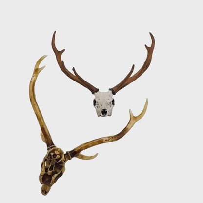 Axis Deer Skull (Field Bones Core Series: Asia) miniature dollhouse and diorama collectible by The Scale Grail