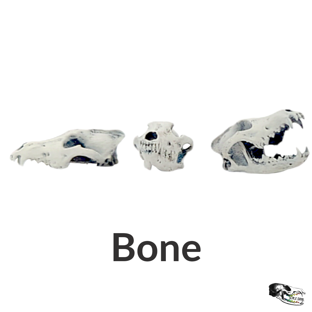 Gray Wolf Skull - 1:12 Scale