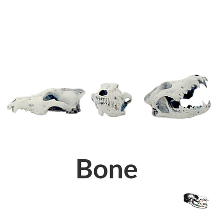Gray Wolf Skull - 1:12 Scale