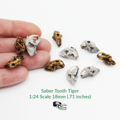 Saber tooth tiger skull replica, 1:24 scale, hand-painted finish