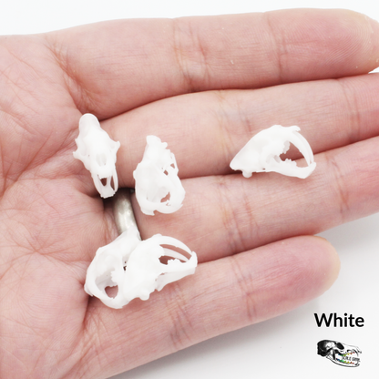 Saber tooth tiger skull replica, 1:24 scale, white unpainted finish