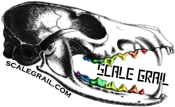 The Scale Grail