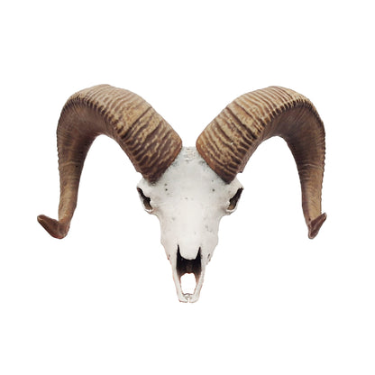 Big horn sheep skull replica, 1:12 scale miniature cranium with horns for use with dioramas, action figures, dollhouses, horror. (1 skull)