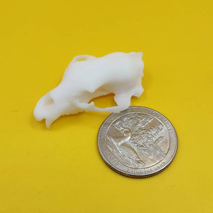 Black Bear skull replica 1:12 scale bear skull for diorama, miniature horror scenes, terrarium, and action figure photography (1 skull)