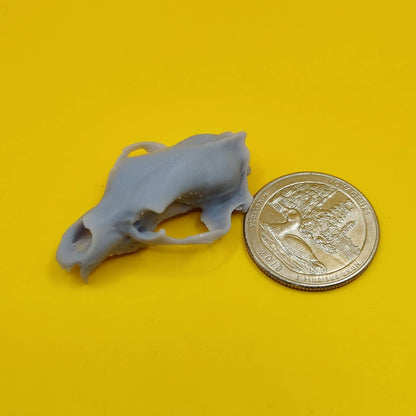 Black Bear skull replica 1:12 scale bear skull for diorama, miniature horror scenes, terrarium, and action figure photography (1 skull)