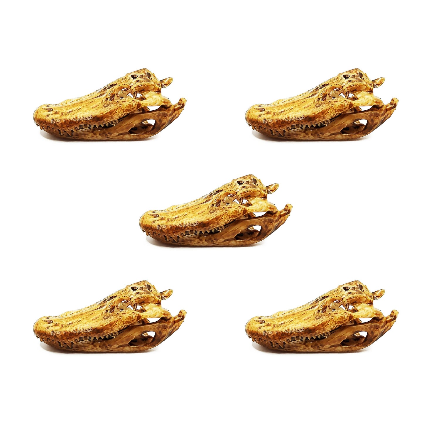 Alligator Skull - 1:24 scale replica reptile skull for diorama, miniature horror scenes, dollhouse and action figure photography (set of 5)
