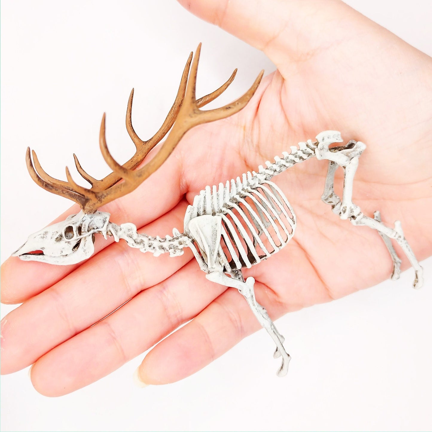 Red Deer Skeleton - 1:18 scale miniature for horror diorama, dollhouse, tabletop arts and crafts, replica curiosities oddities (1 skeleton)