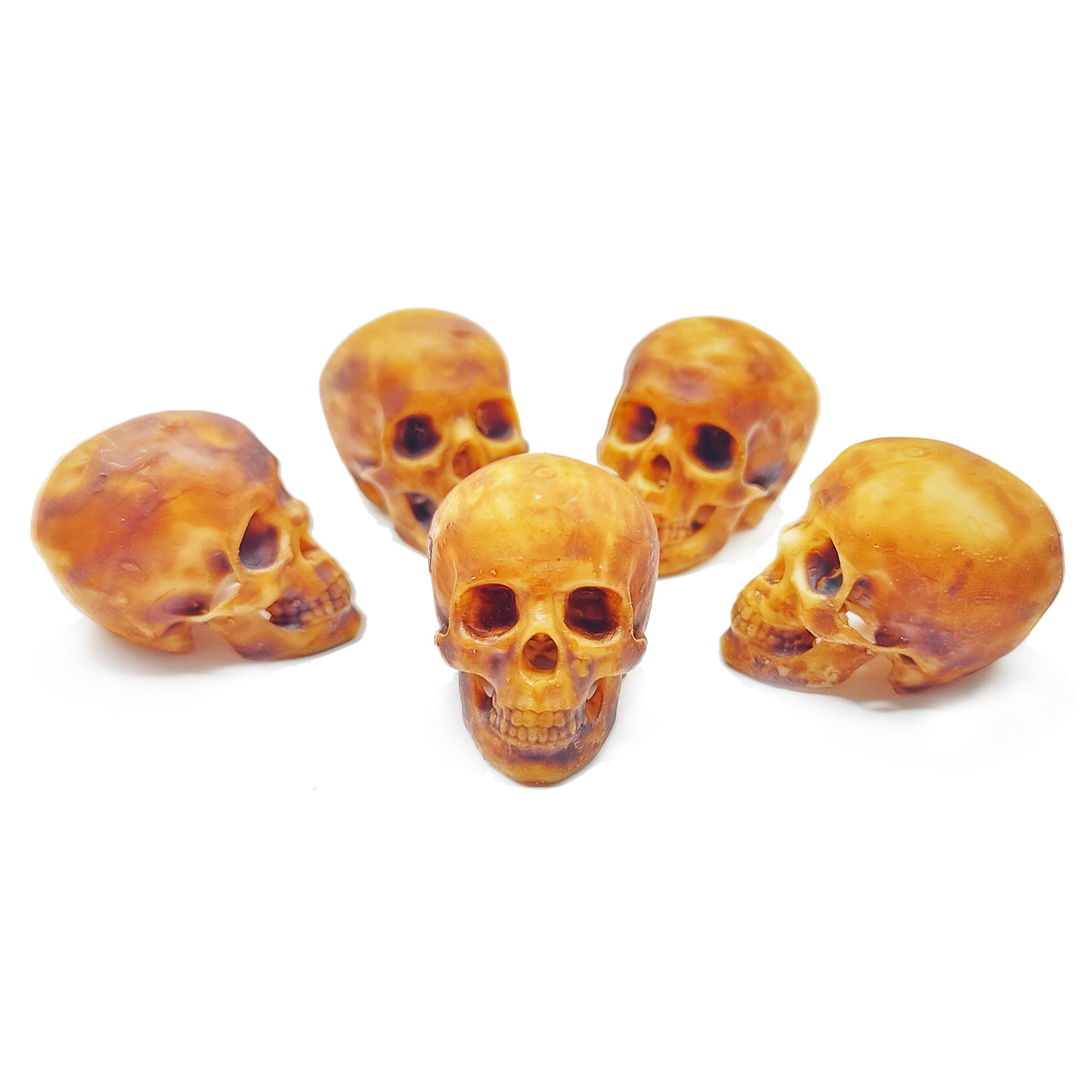 Human Skull Miniature, 1:12 Scale Replica