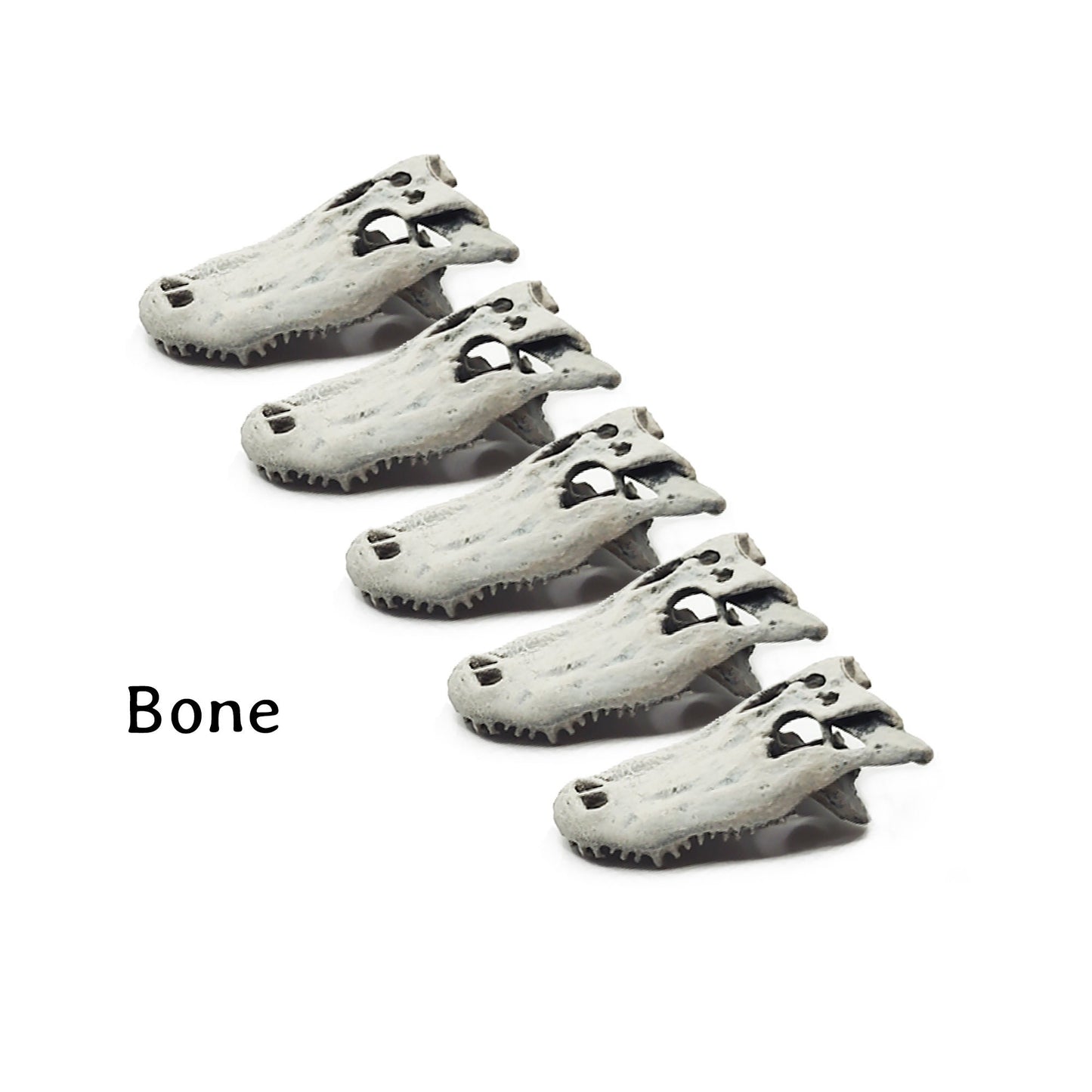 Alligator skull replica, 1:12 scale, bone hand-painted finish