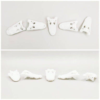 Alligator skull replica, 1:12 scale, white unpainted finish