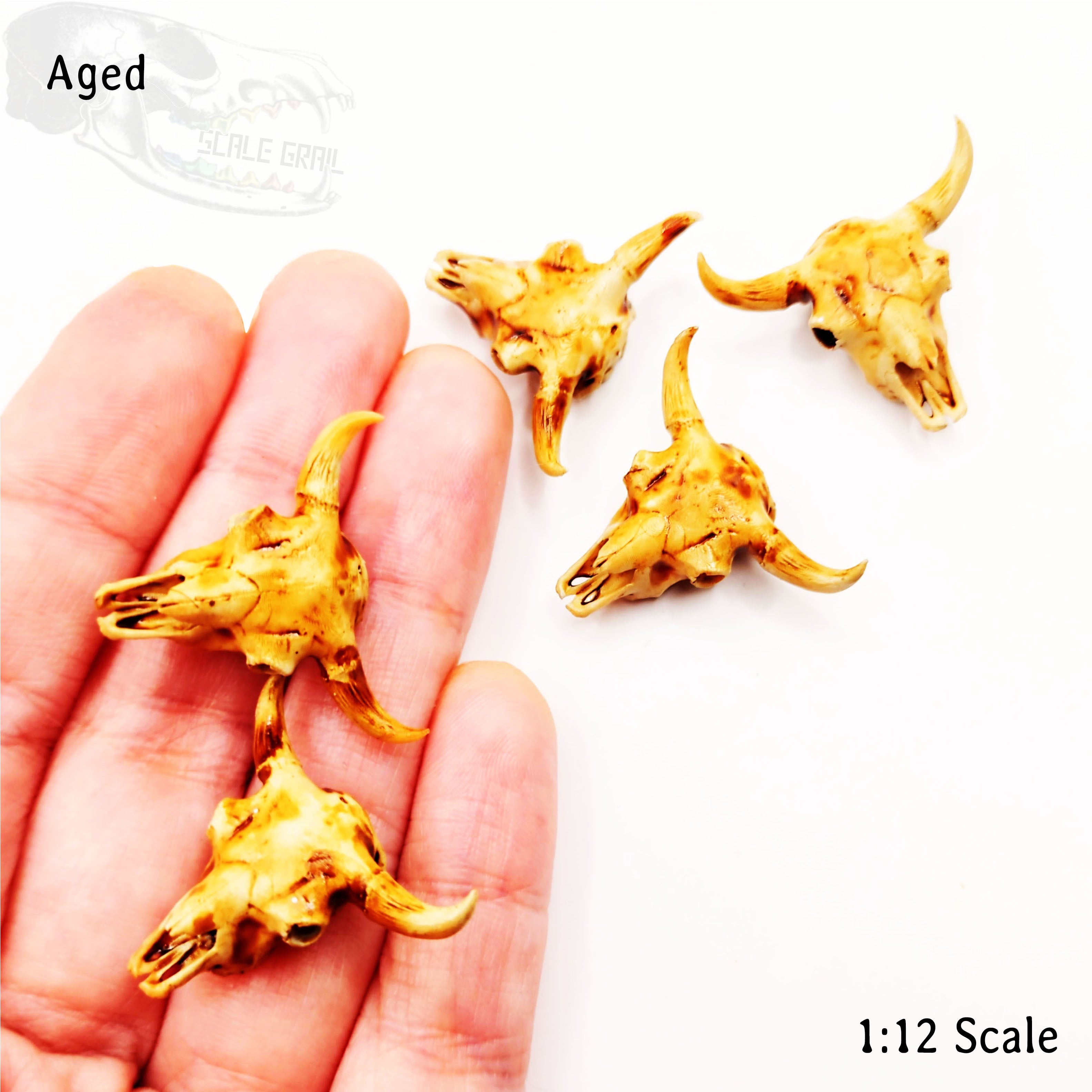 1:24 scale American Bison Skull 1:24 scale miniature small size for desert diorama, western dollhouse, arts and crafts, replica oddities miniature — made in NC, USA