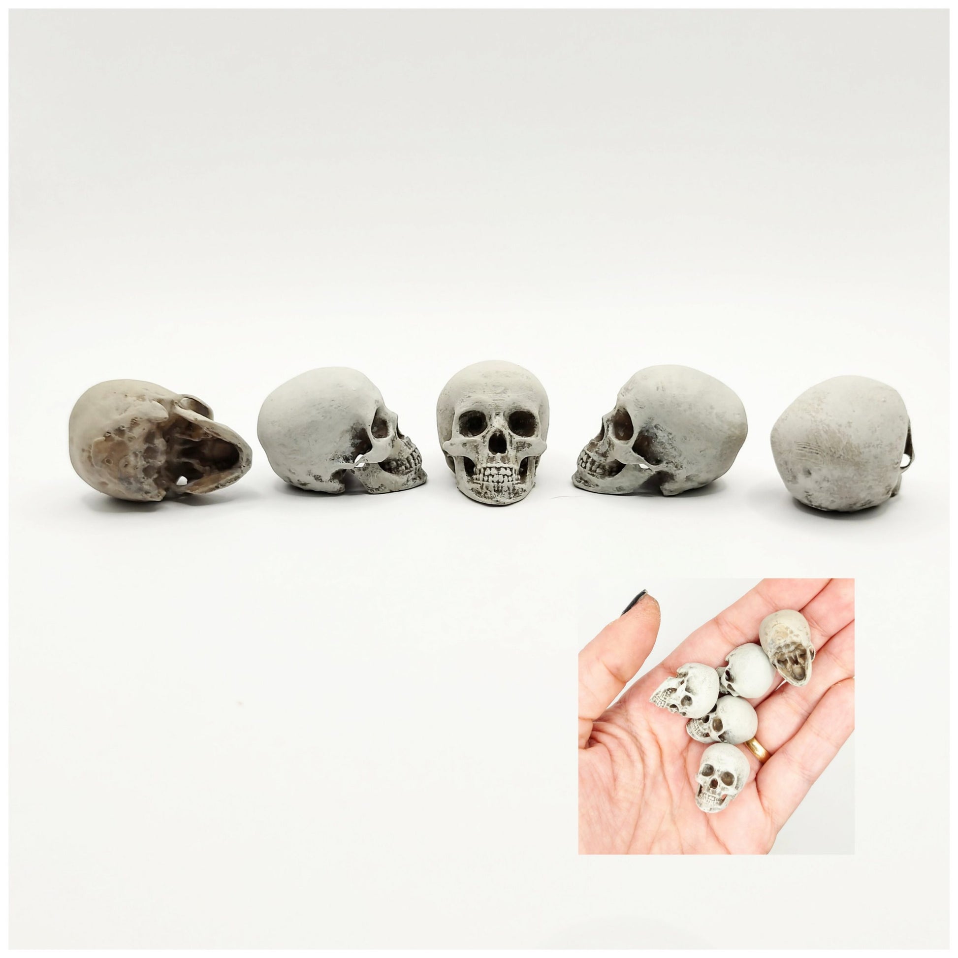 Hand painted 1:12 human skulls