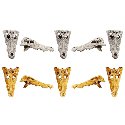 Crocodile Skull Replica