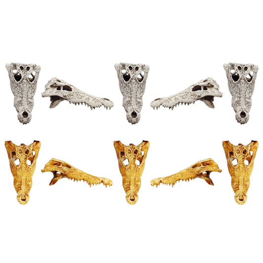 Crocodile Skull Replica