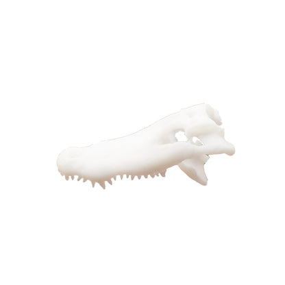 Alligator Skull - 1:24 scale replica reptile skull for diorama, miniature horror scenes, dollhouse and action figure photography (set of 5)