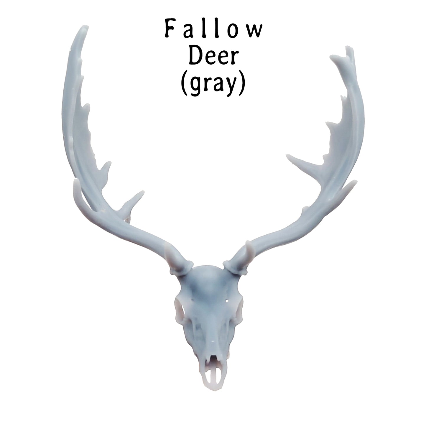 Miniature Deer Skull: Fallow Deer 1:12 Scale Replica dollhouse and diorama miniature