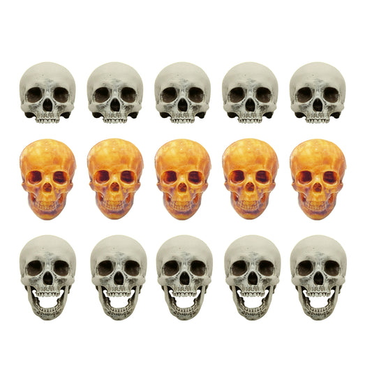 Human Skull Miniature, 1:12 Scale Replica