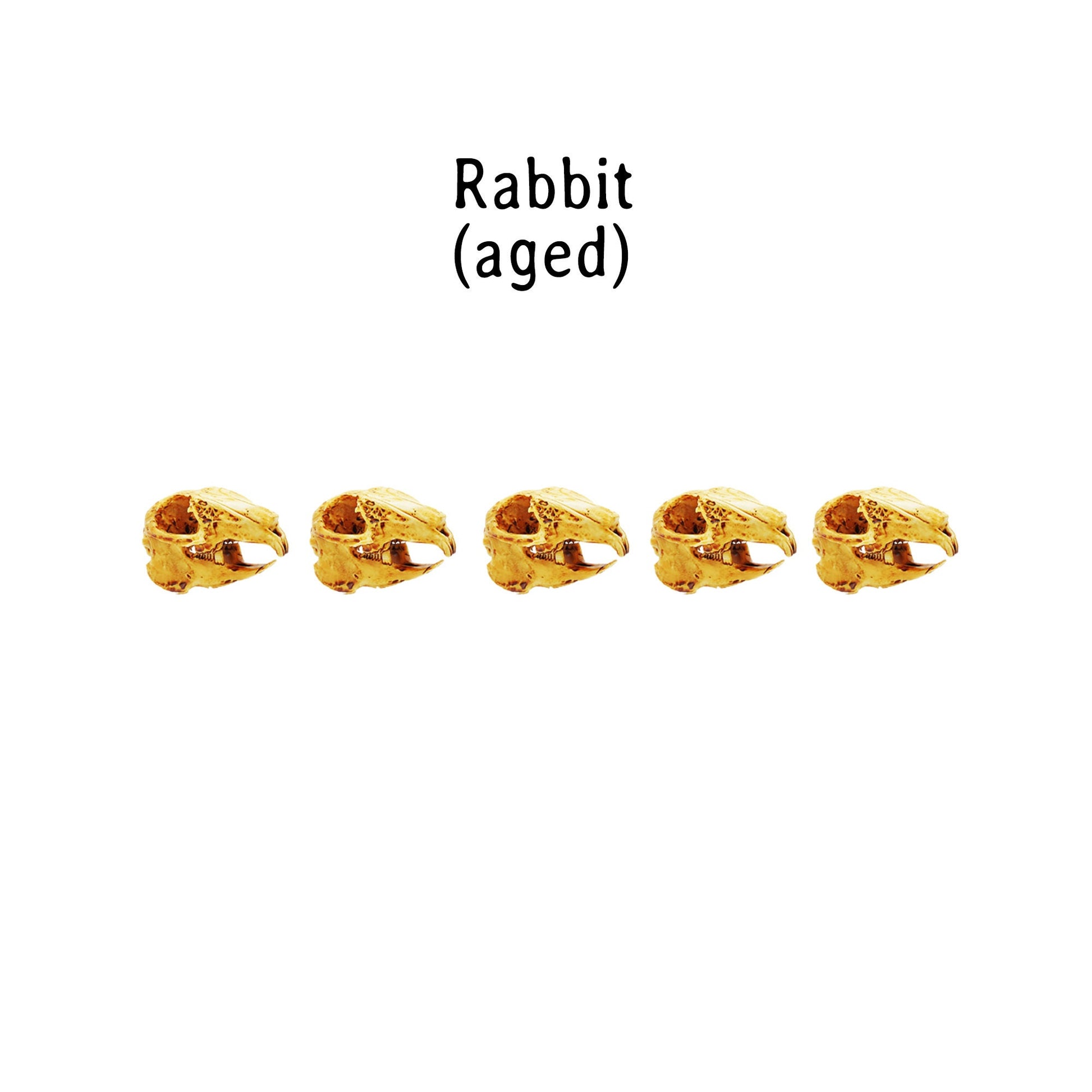 il fullxfull aqg jpg
