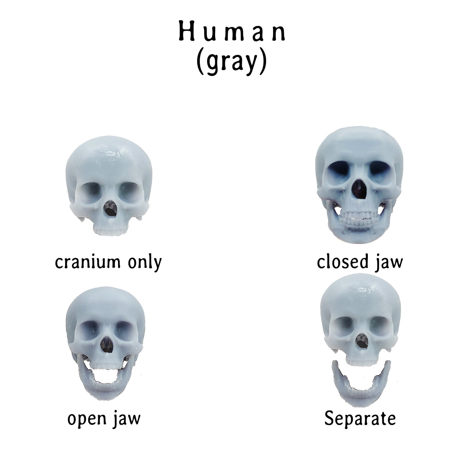 il fullxfull obqf jpg
