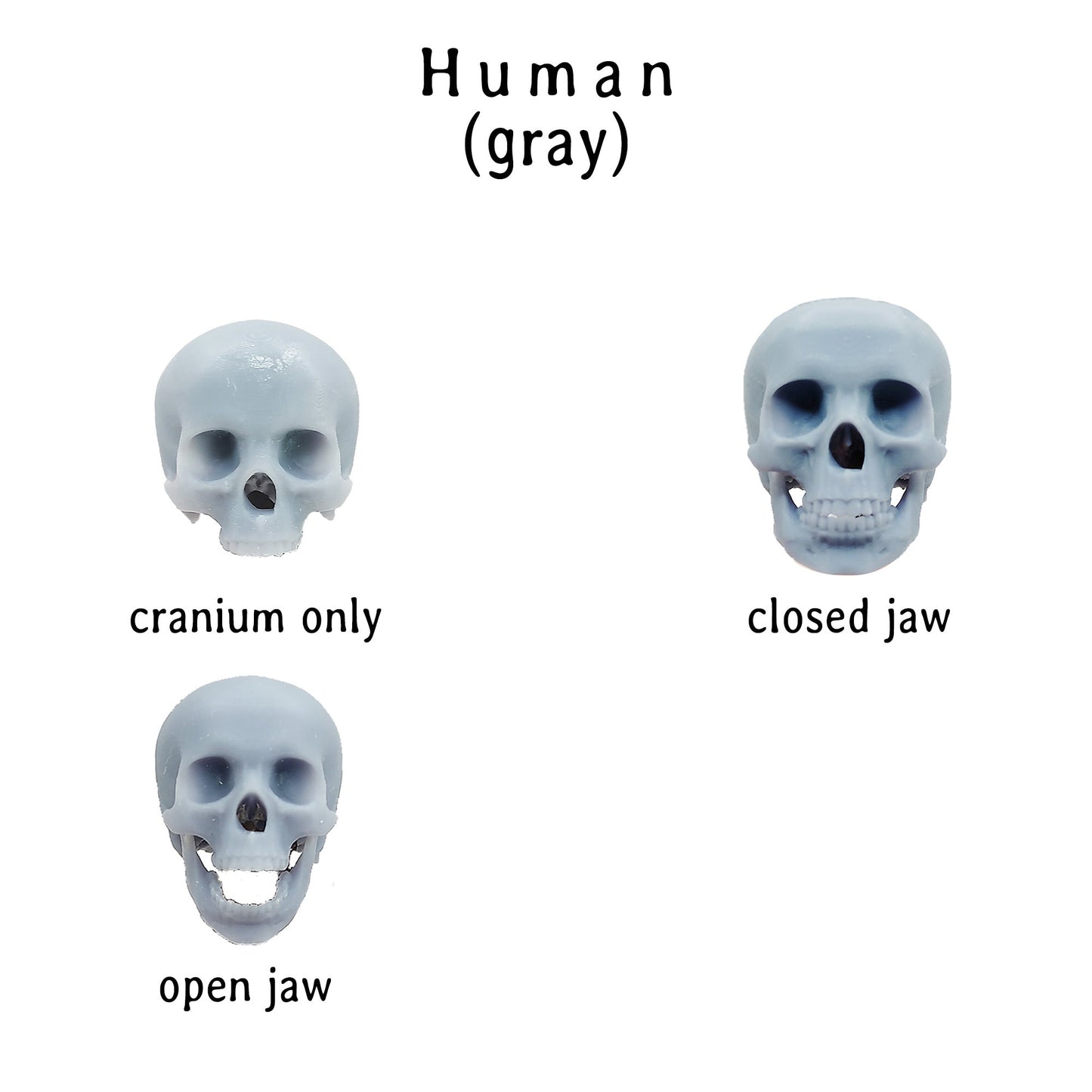 il fullxfull fw jpg