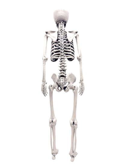 il fullxfull pij jpg