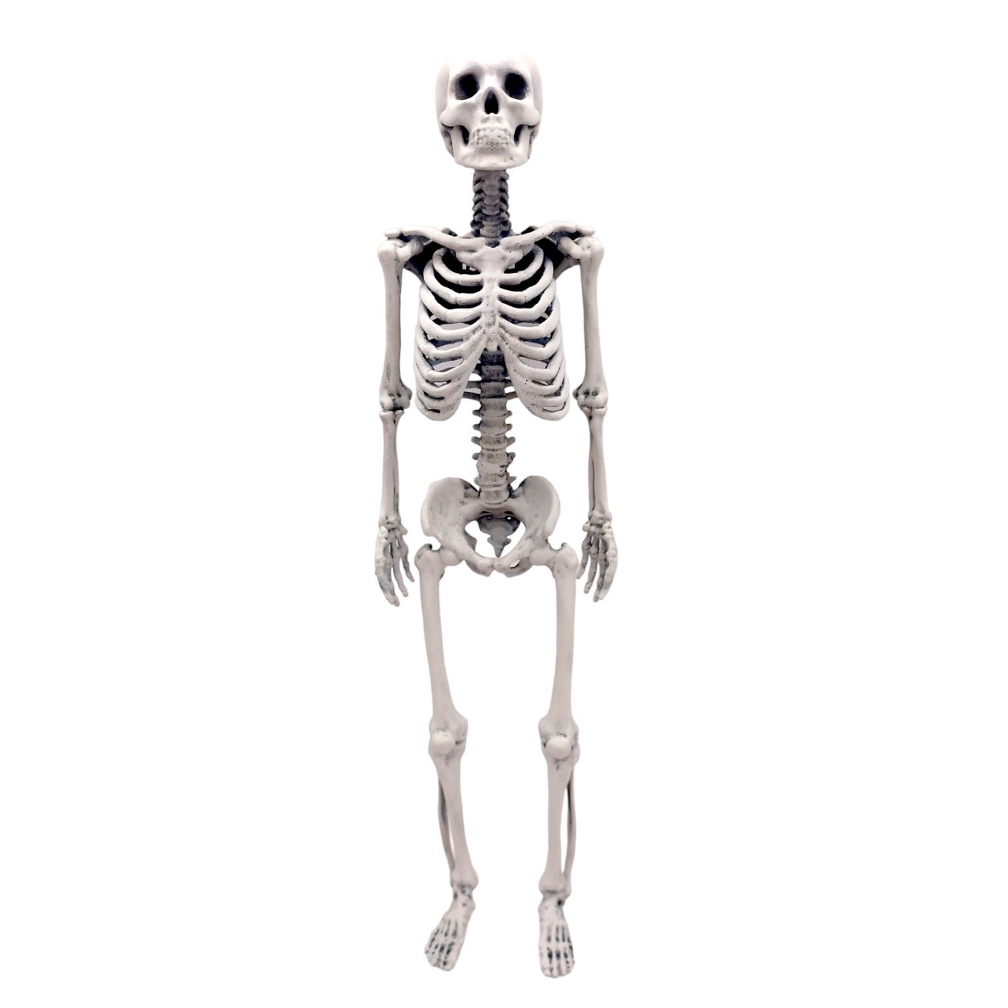 il fullxfull l jpg
