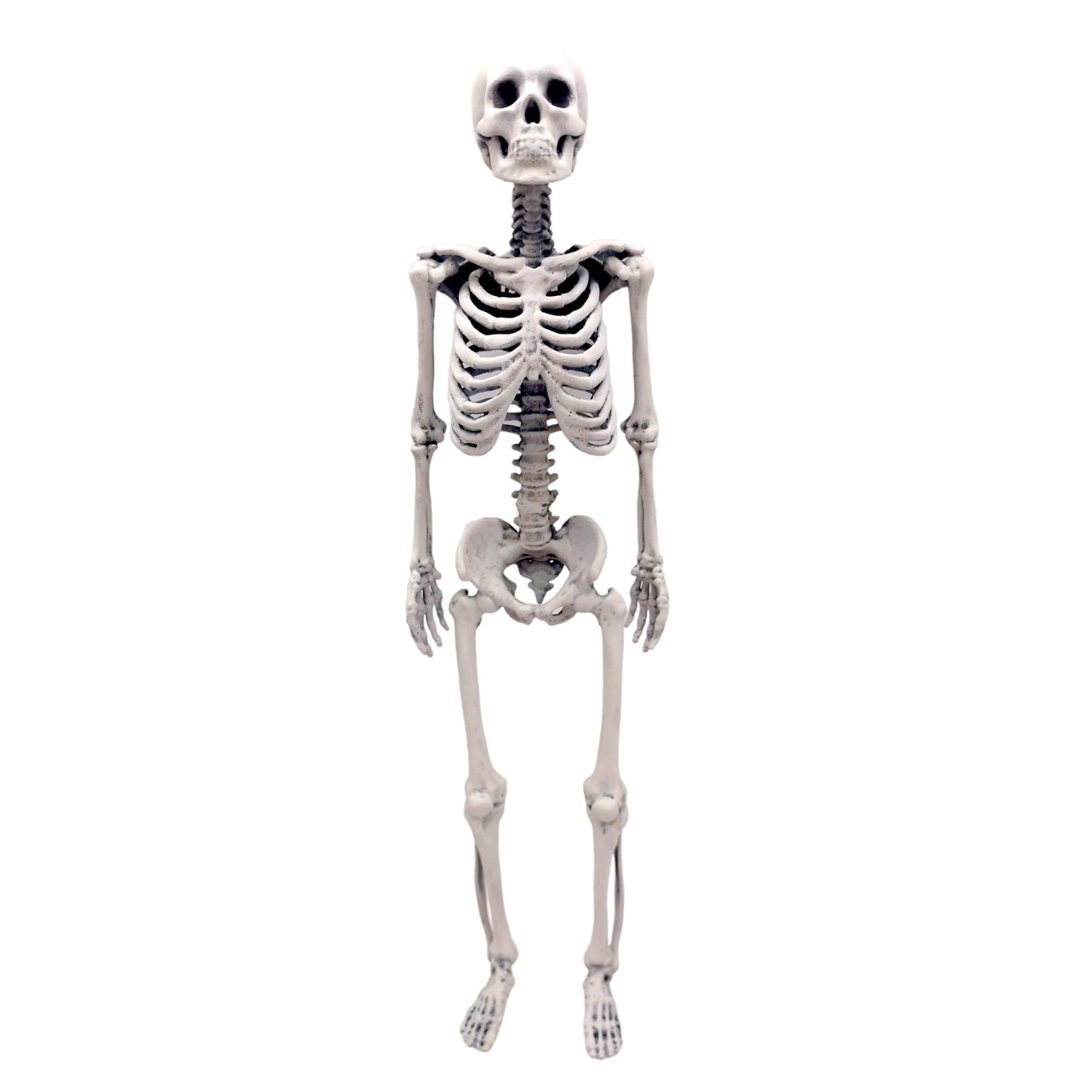 il fullxfull l jpg