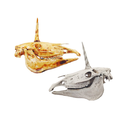 Unicorn Skull Replica